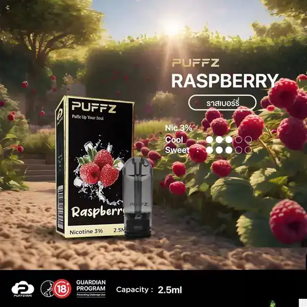 puffz pod 2 5ml raspberry flavor